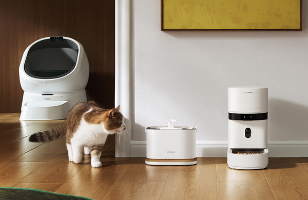The Smart Cat Starter Kit: A Simpler Routine for Happier Days at Home
