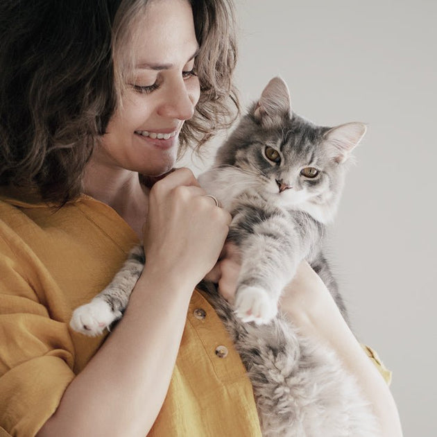 7 Tips for New Cat Owners PETLIBRO