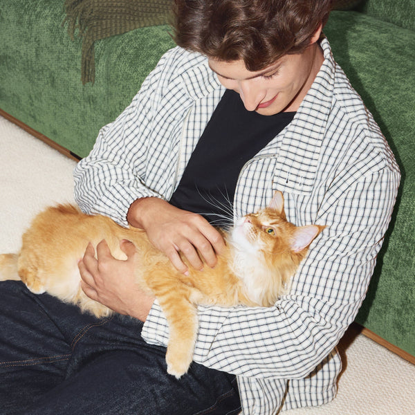 4 Pet Care Products That May Be Eligible for HSA/FSA
