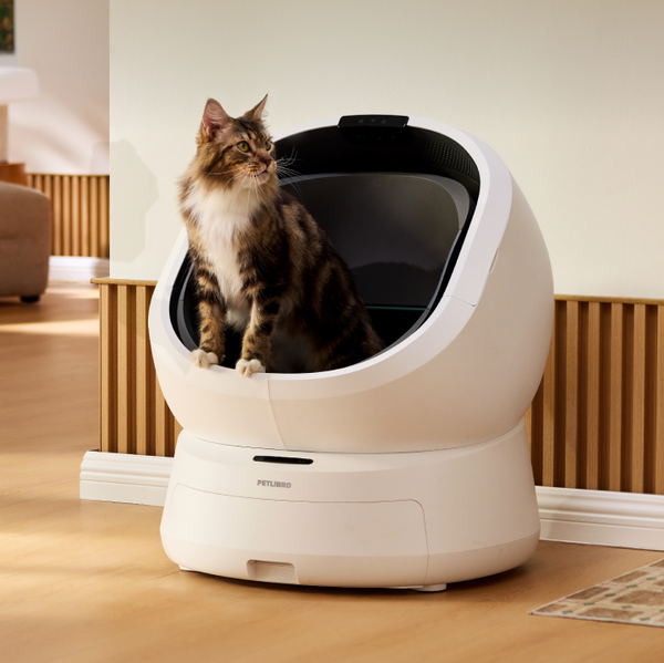best automatic litter box