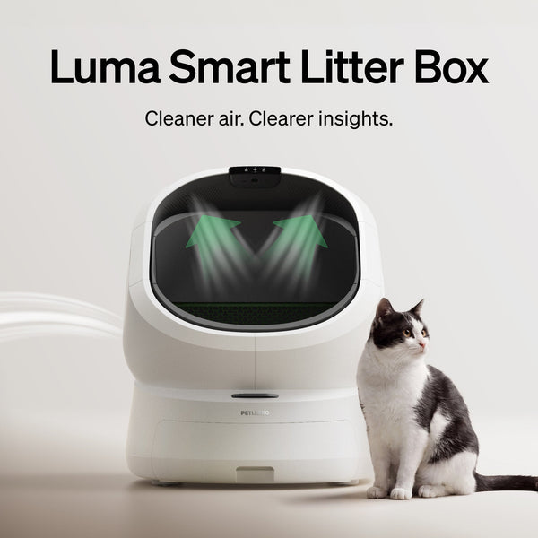 best automatic litter box