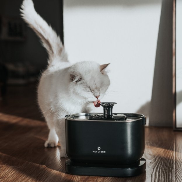 Cat Fountain Water Bowl Drinking Fountain Cat Water Bowl Filter