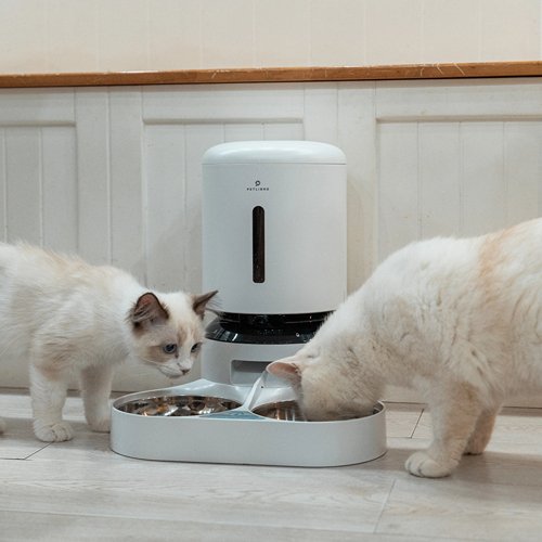 How Much to Feed a Cat？ PETLIBRO