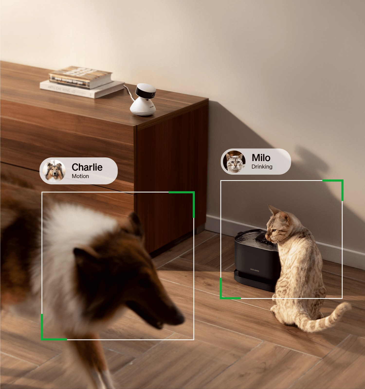 Scout smart camera - PETLIBRO on a wooden surface with two pets, Charlie and Milo, being monitored.