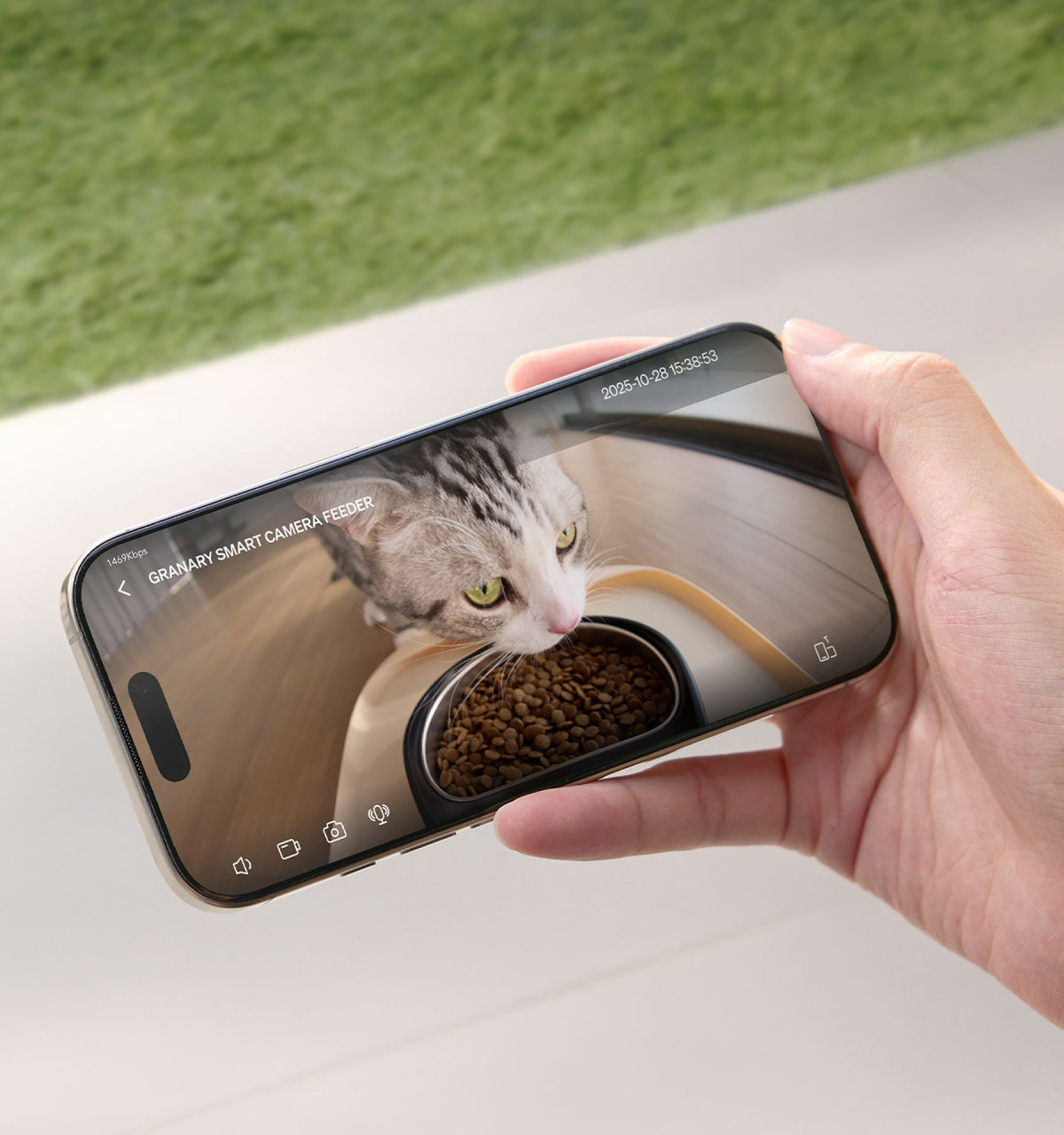 Petlibro smart camera feeder live video on smartphone showing gray and white cat eating dry food in black bowl