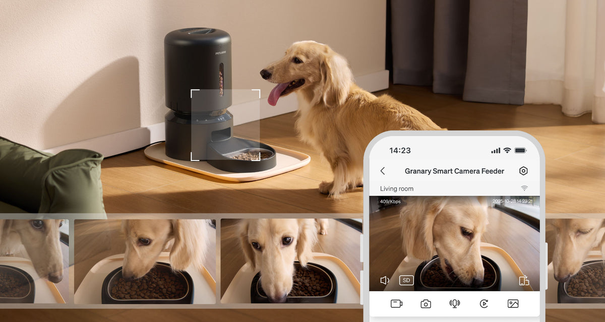 Petlibro smart automatic pet feeder in black with camera monitoring a golden retriever eating indoors