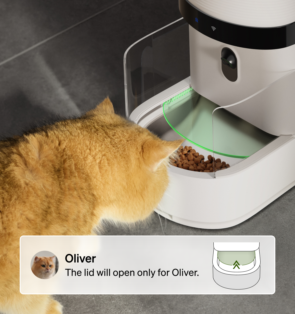 Petlibro rfid cat feeder pet feeder for multiple cats, smart cat feeder with camera, cat feeder portion control; lid opens for Oliver, reliable wifi cat feeder