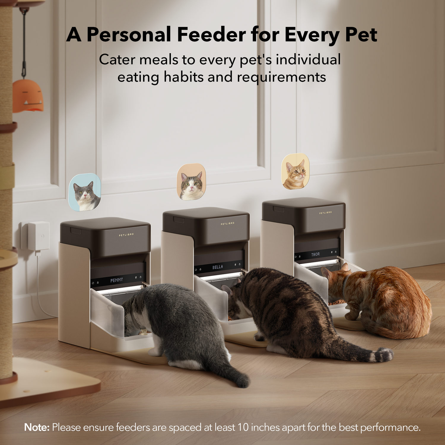 One RFID Smart Feeder - PETLIBRO
