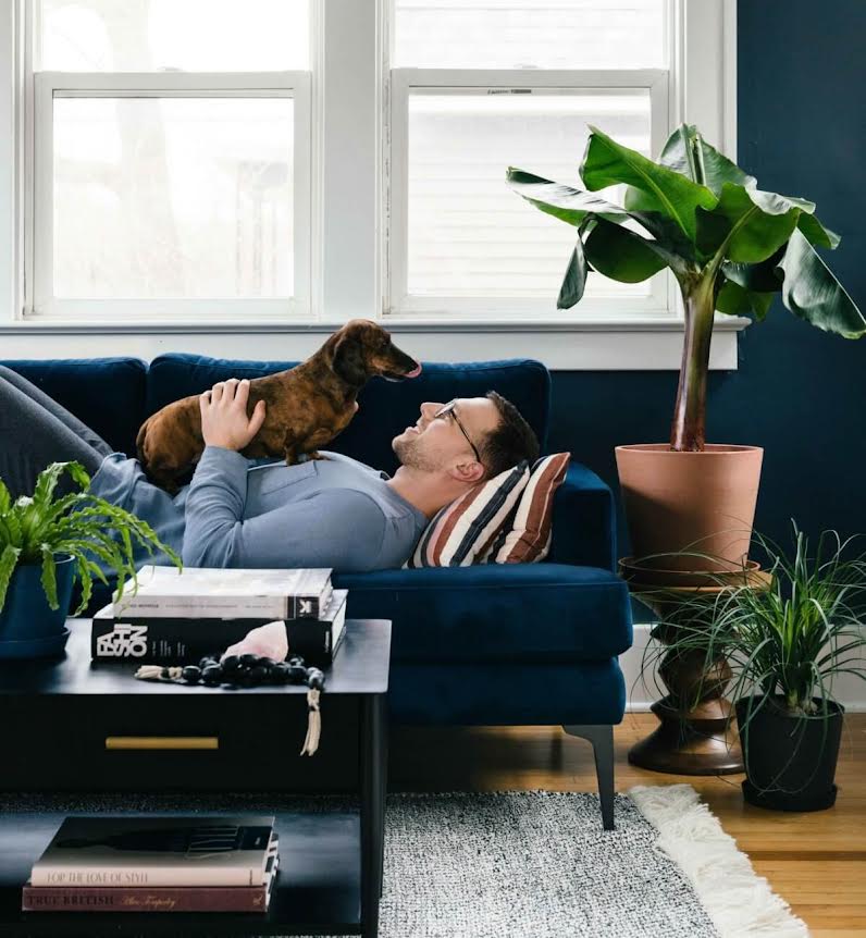 Petlibro x Bloomscape: The Art of the Pet-Obsessed, Plant-Filled Home