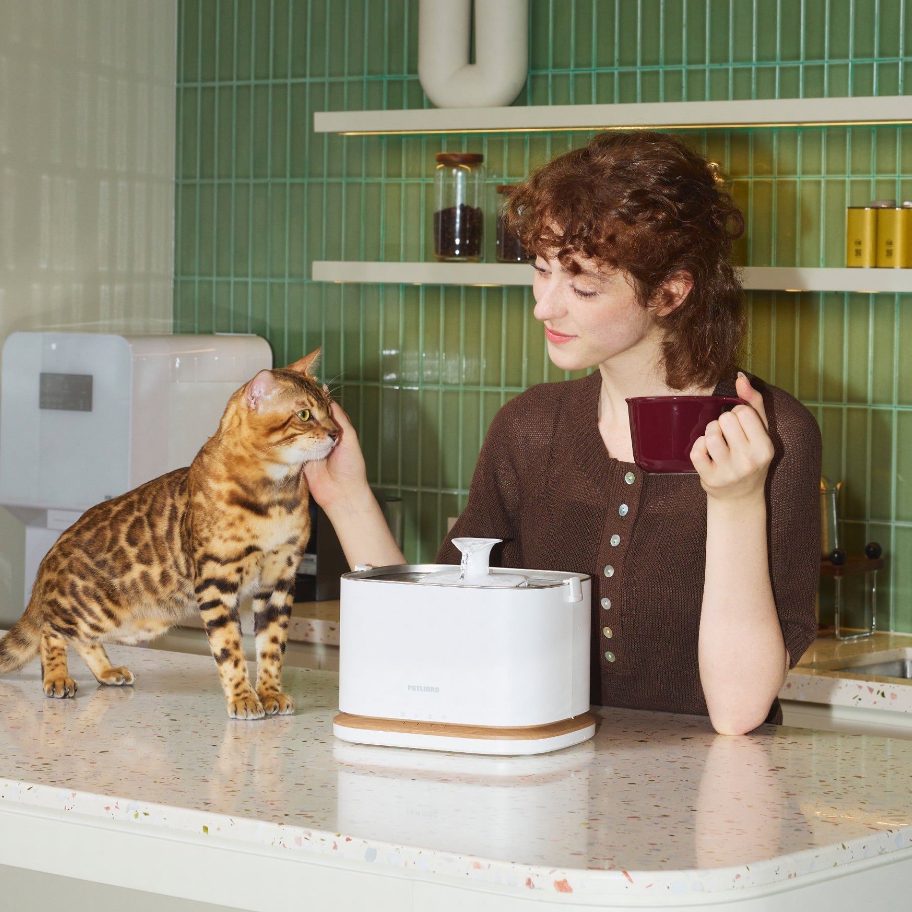Why Hydration Matters for Cats