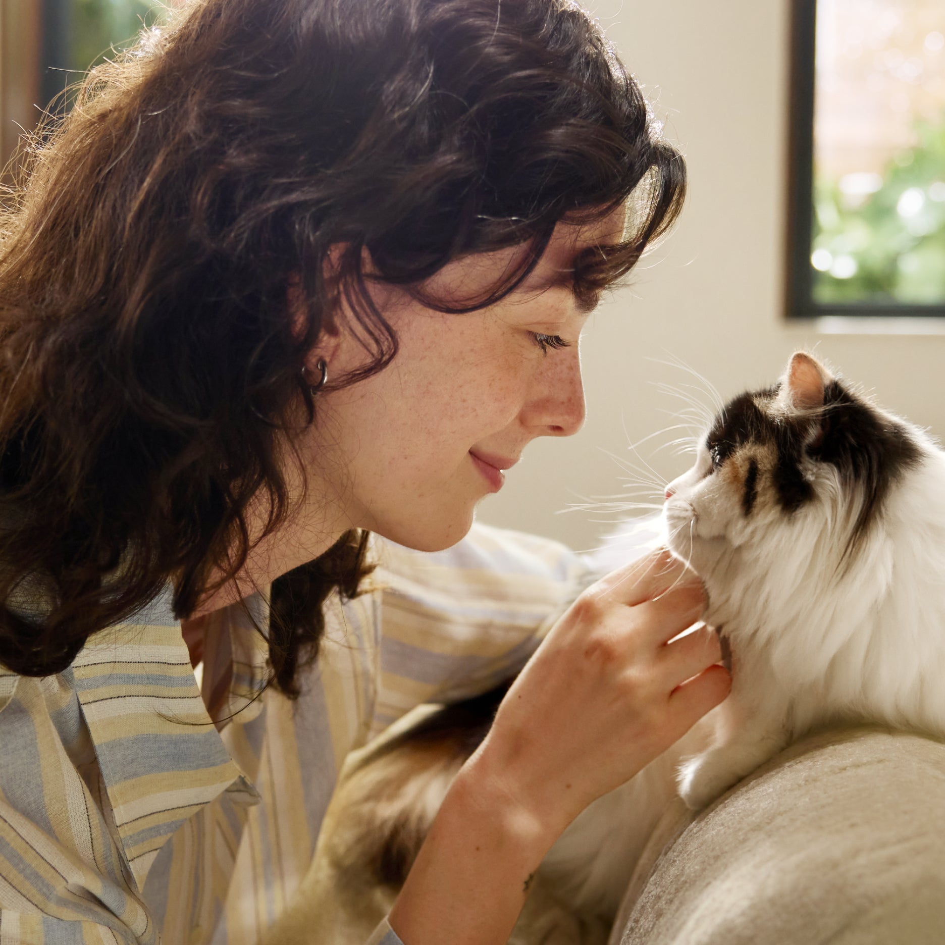 Best automatic pet feeder for cats