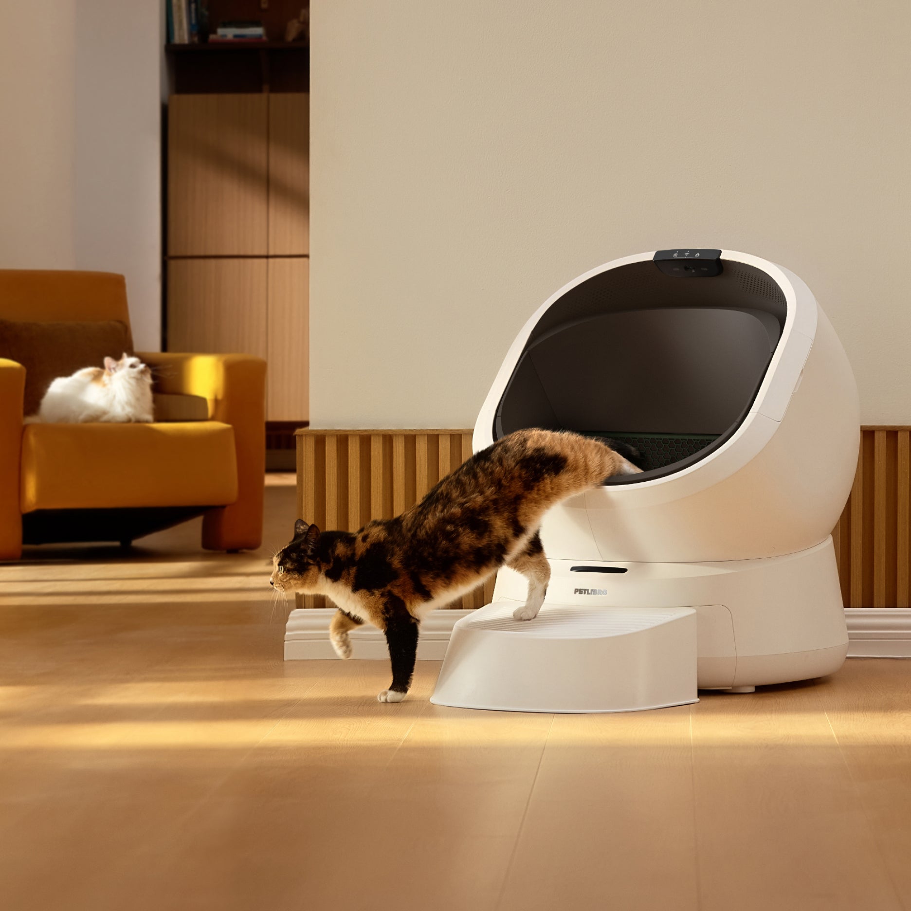 Meet Luma, the AI-Powered Litter Box that Knows Who Did What, When, and How Much