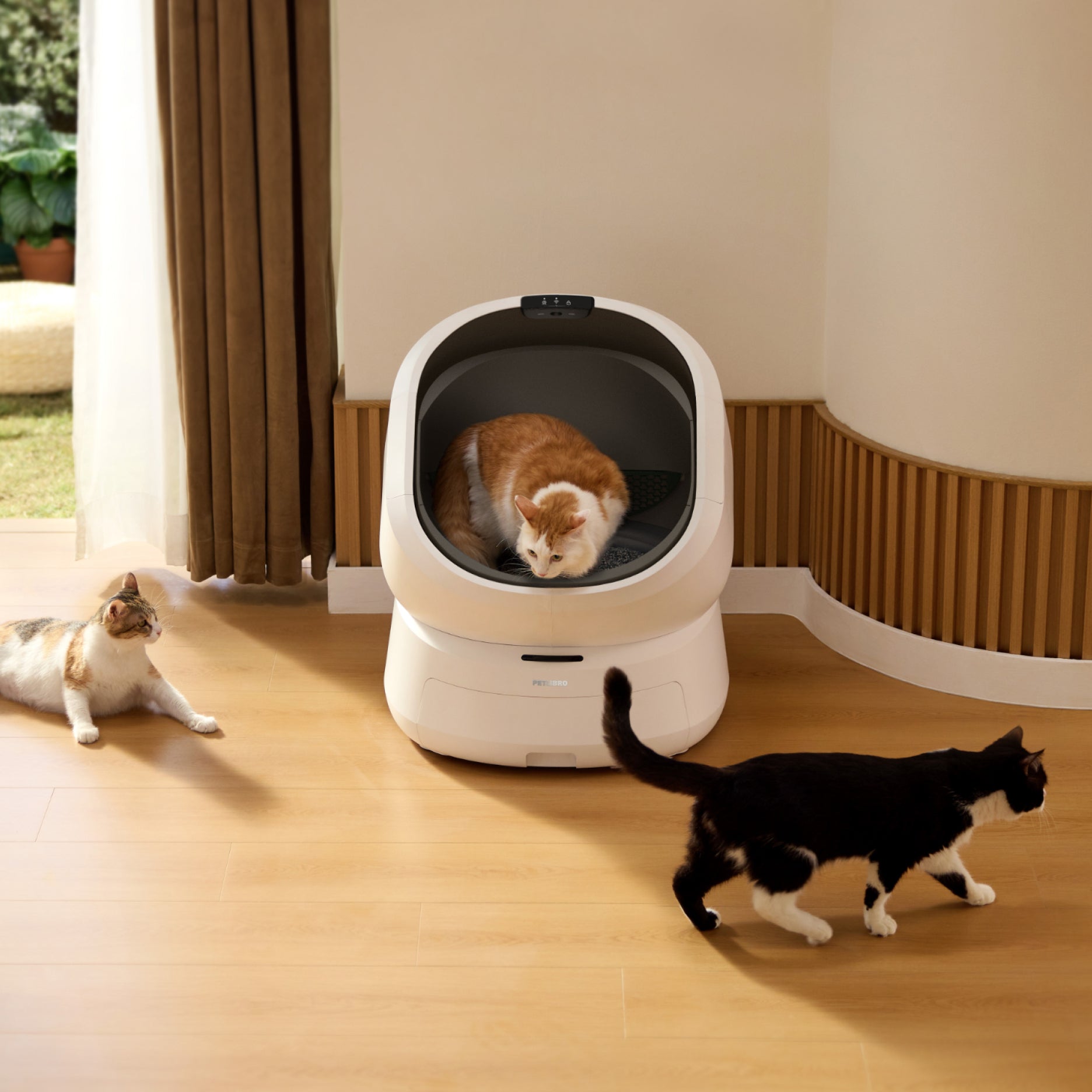 Cat Parents, Here’s Why You Need to Look Before You Scoop