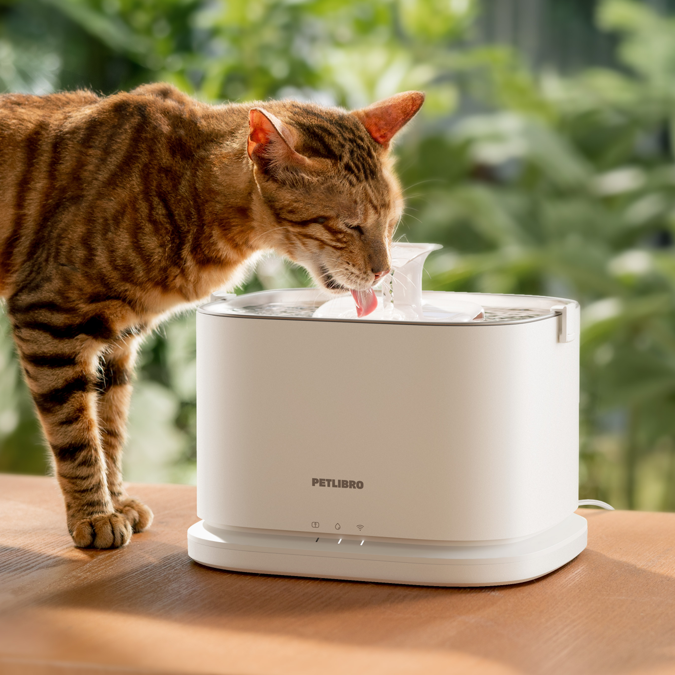 How to Train Your Pet to Use a Water Fountain: Tips for a Seamless Transition!