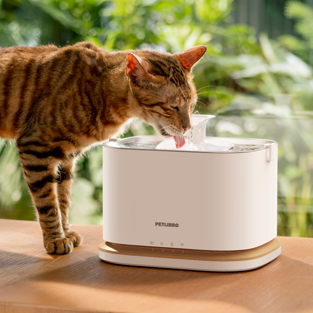 Dockstream 2: Designed for Pets, Inspired by You - PETLIBRO