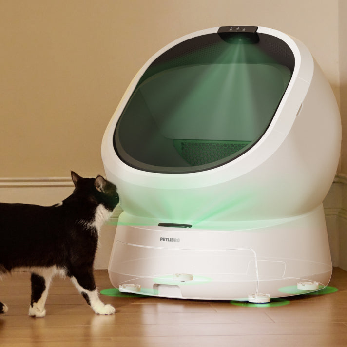 How the Luma Smart Litter Box Puts Your Cat's Safety First