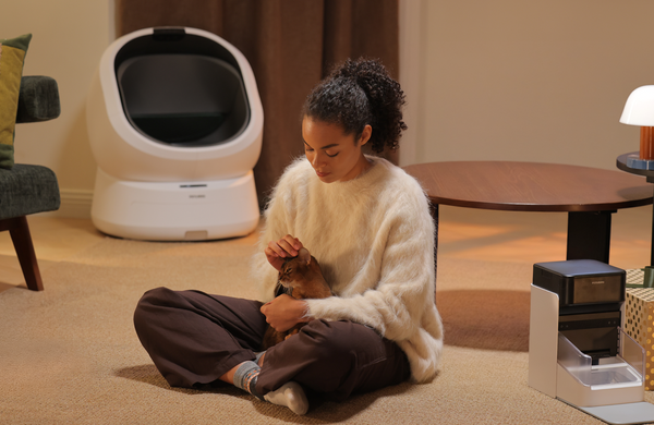 The Guide to Smart Cat Care: How to Choose the Right Setup for Your Home