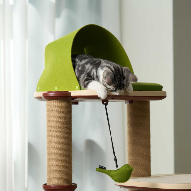 Cat Trees for Small Apartments: Compact & Space-Saving Options! – PETLIBRO