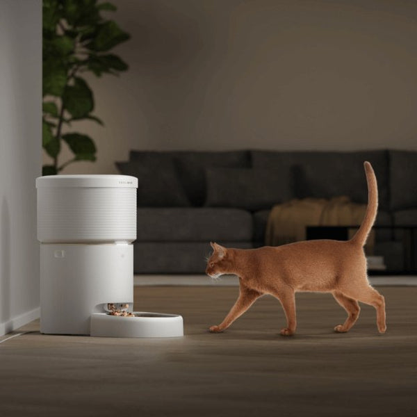 Enhance Your Pets’ Nutrition And Convenience With PETLIBRO Space Feeder