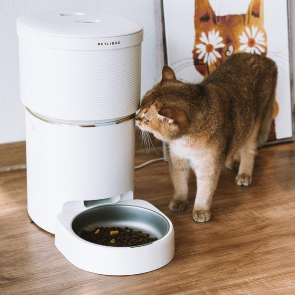 Here Are 5 Reasons Why You Need a Timed Cat Feeder!