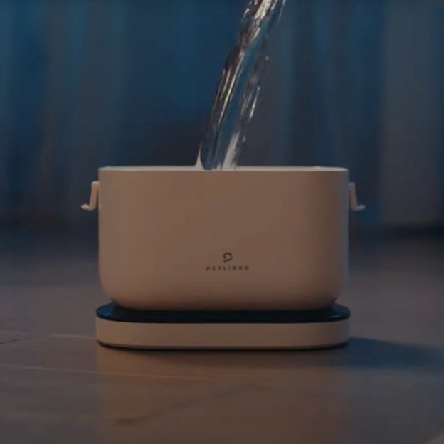 How Often Should I Change My Cat's Water? - PETLIBRO