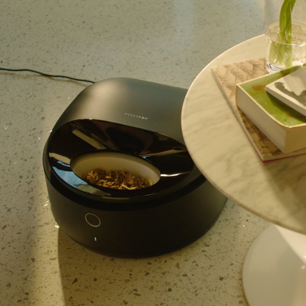 How to Choose the Best Petlibro Feeder for Your Pet - PETLIBRO