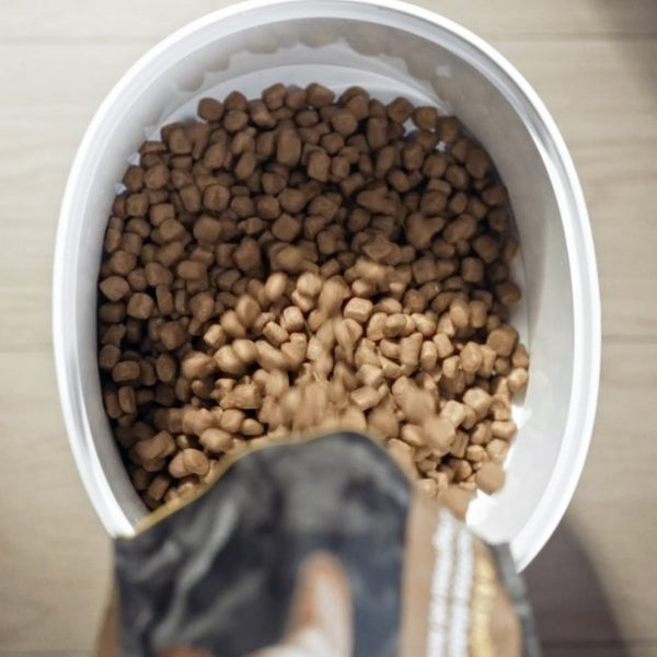 How to Safely Store Cat Food and Maximize Freshness? The 2023 Guide