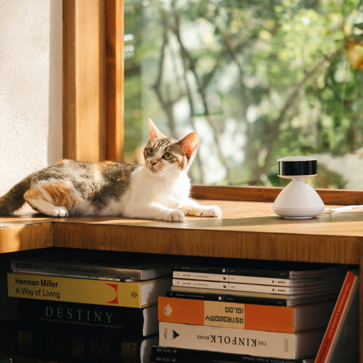 A Smart Pet Camera that’s Full of Surprises - PETLIBRO