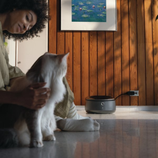 Introducing Polar: The First-of-its-kind  Refrigerated Wet Food Feeder