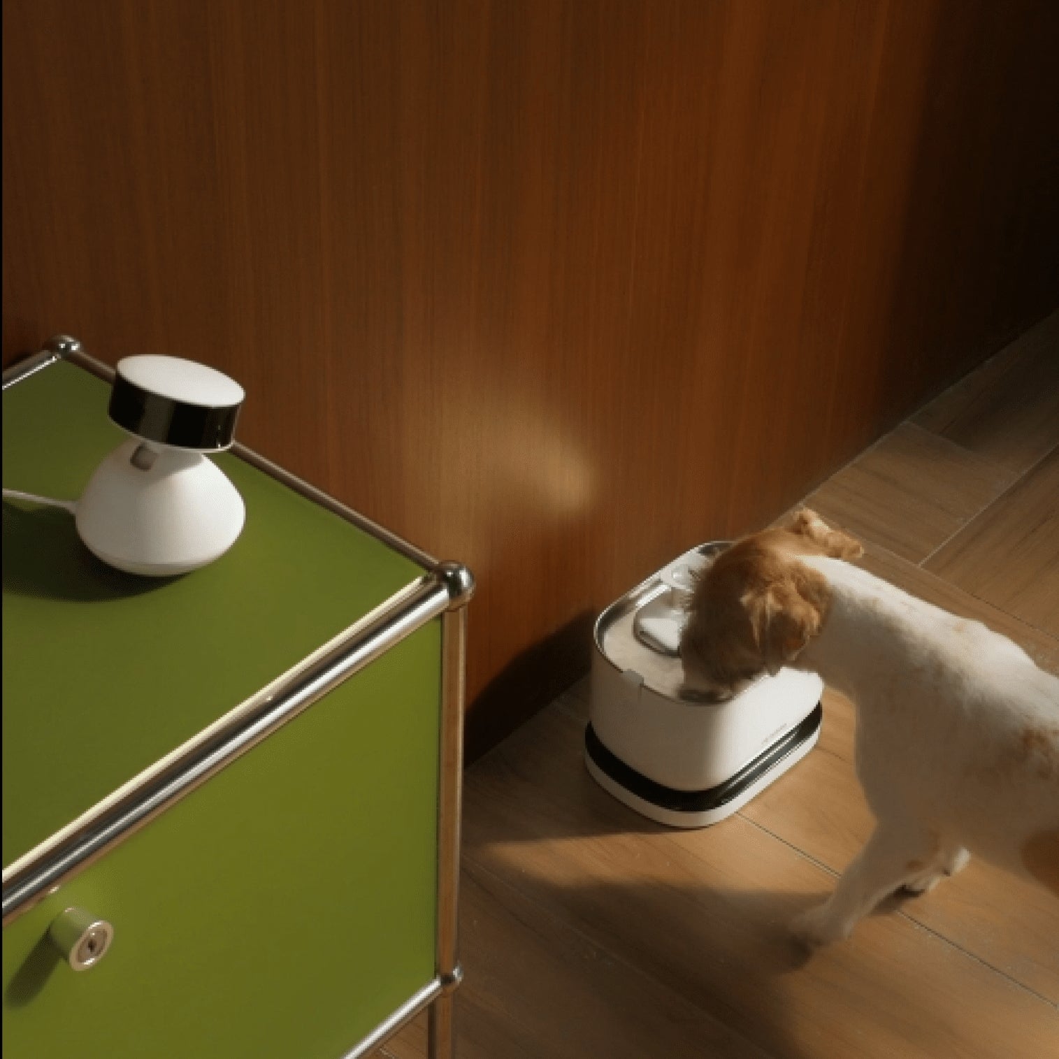 Is that Old Pet Tech You're Holding onto Holding You Back? Try Our Trade Up Program. - PETLIBRO