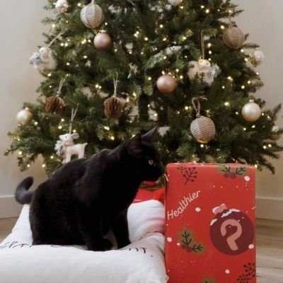 Petlibro Gift Guide for Pets