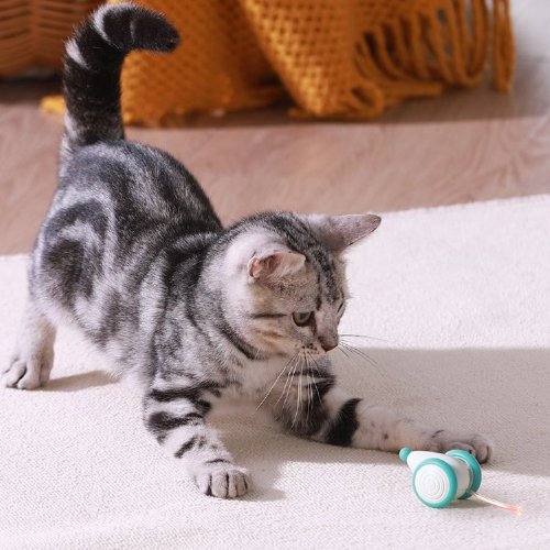 The Feline Gift-Giving Phenomenon: Why Does My Cat Bring Me Toys?