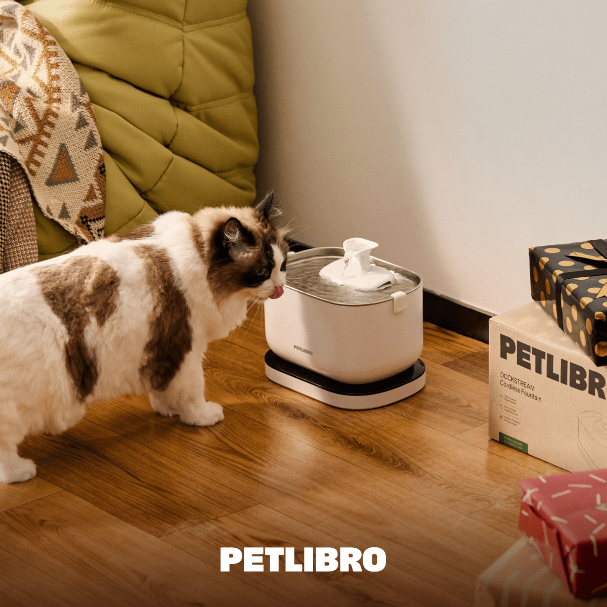 The Importance of Hydration for Cats in the Winter - PETLIBRO