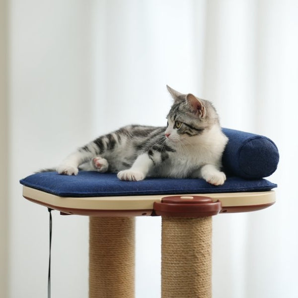 The Incredible Innovation Of Quick Assembly And Disassembly In INFINITY Cat Tree