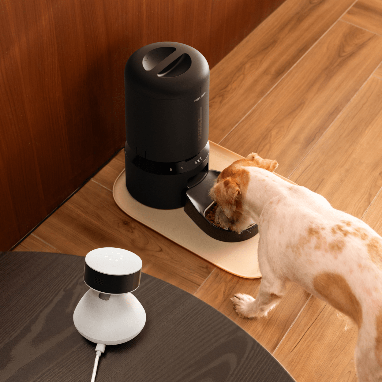 Welcoming a New Addition to Your Pet Family - PETLIBRO