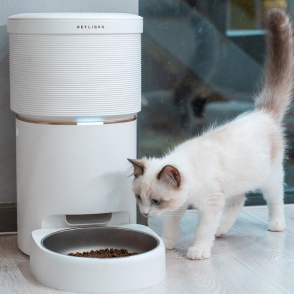 Why You Need a Pet Camera Feeder If You're a Worried Pet Parent？
