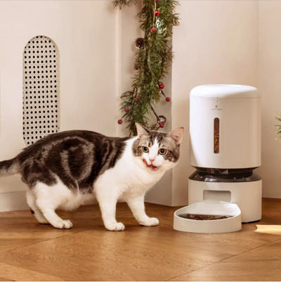 Automatic Feeder