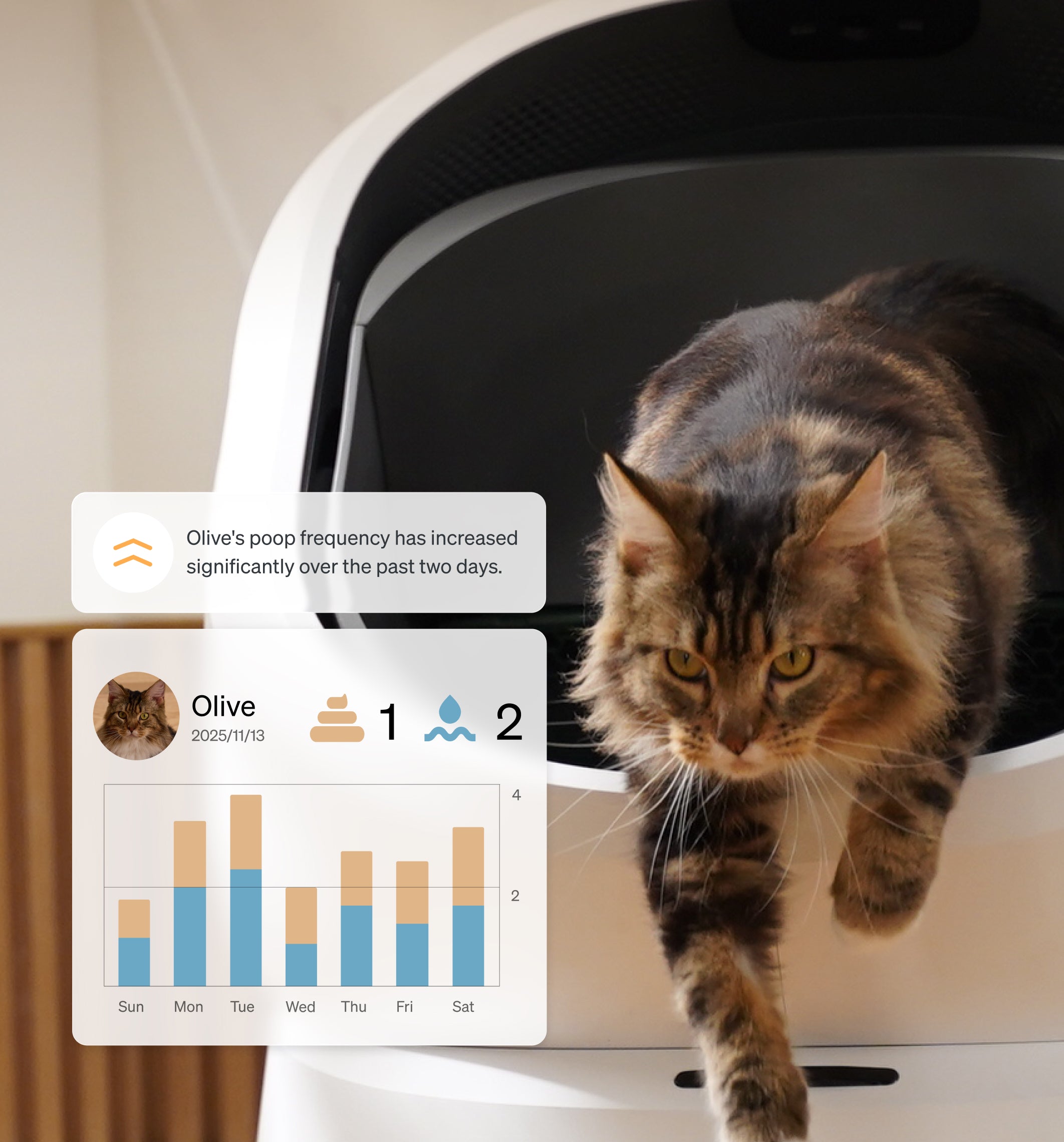Petlibro smart cat litter box with brown tabby cat exiting and health tracking data overlay showing usage frequency and hydration levels
