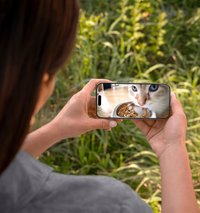 Granary Smart Camera Feeder & Fountain Bundle #2