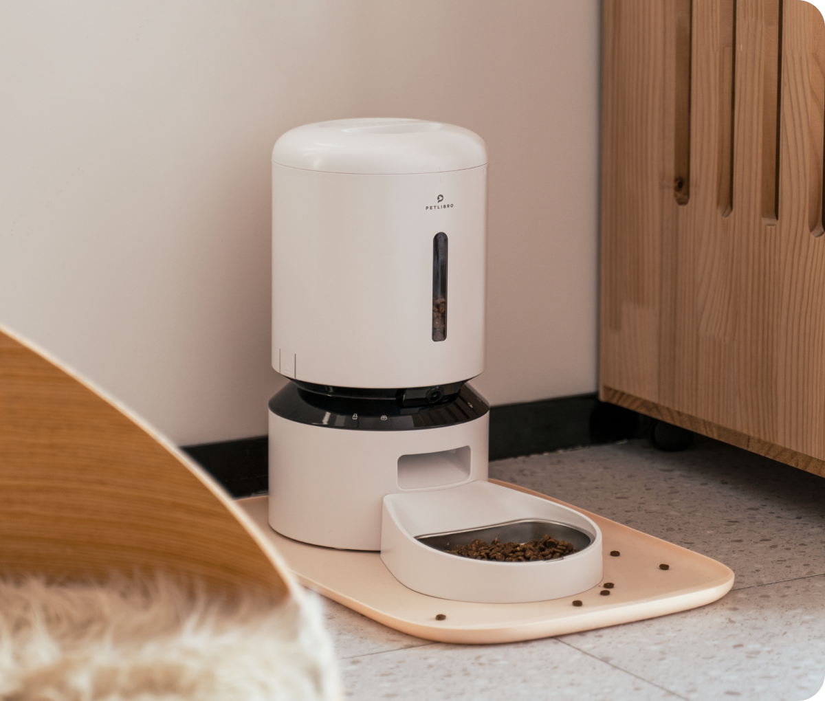 Granary Automatic Feeder 5L | Automatic Cat Feeders Uk | omnitradebrasil.com