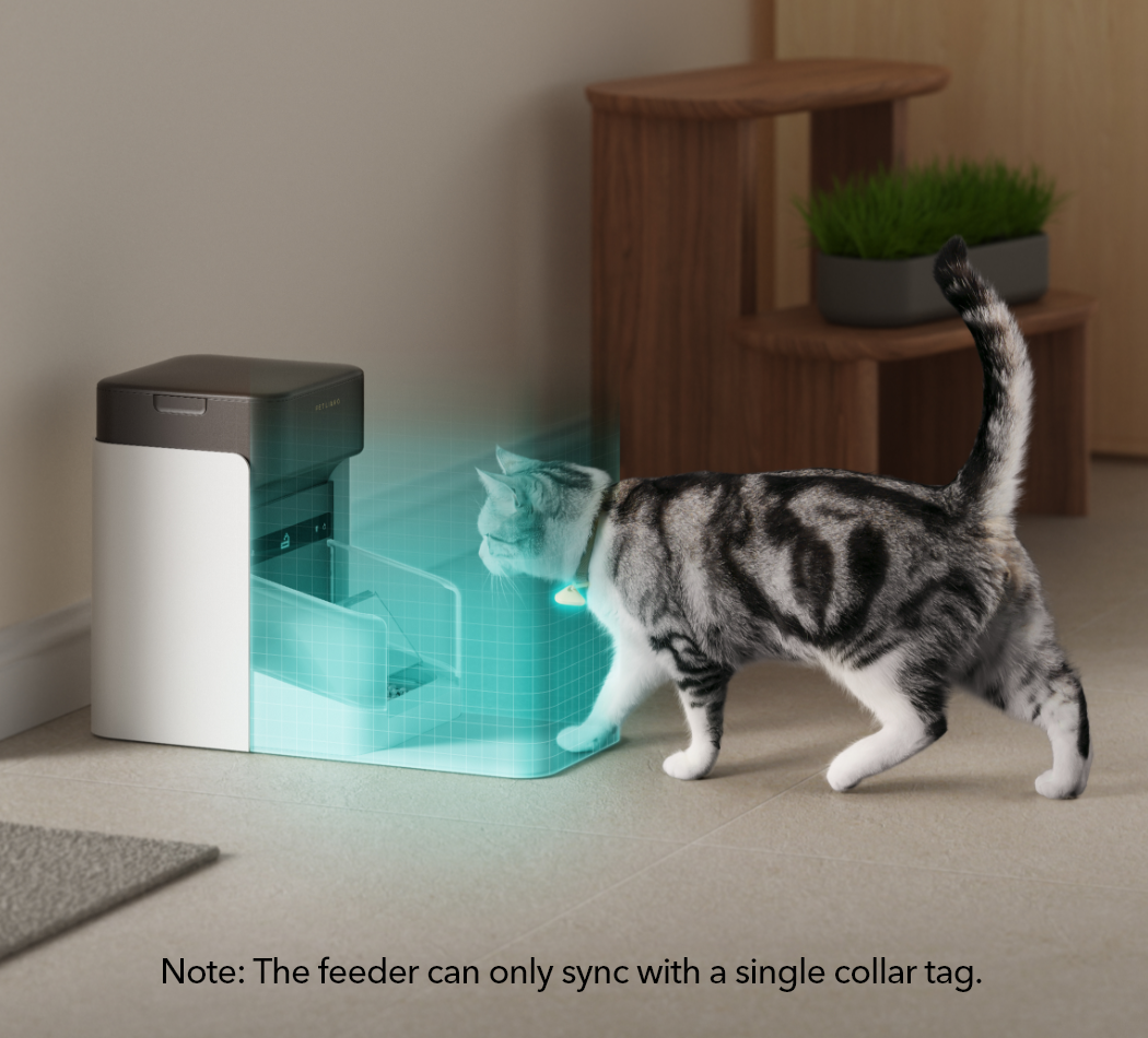 Collar activated feeder best sale