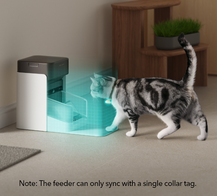 Collar activated cat hot sale feeder