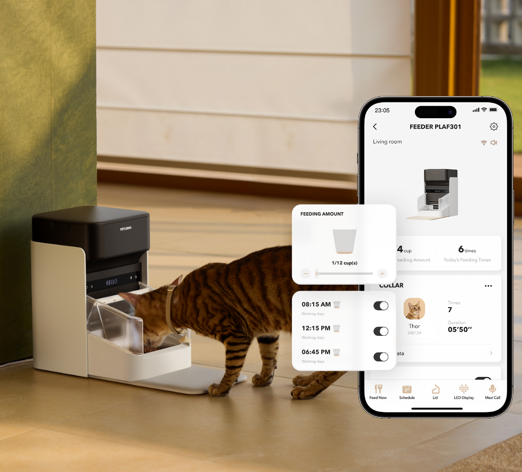 Petlibro automatic pet feeder in white and black with a brown tabby cat eating and a smartphone app interface showing feeding schedule and portion control