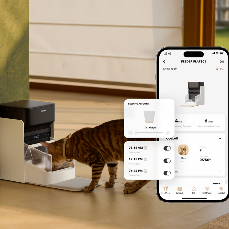 Petlibro One RFID Smart Feeder Petlibro One RFID Smart Feeder