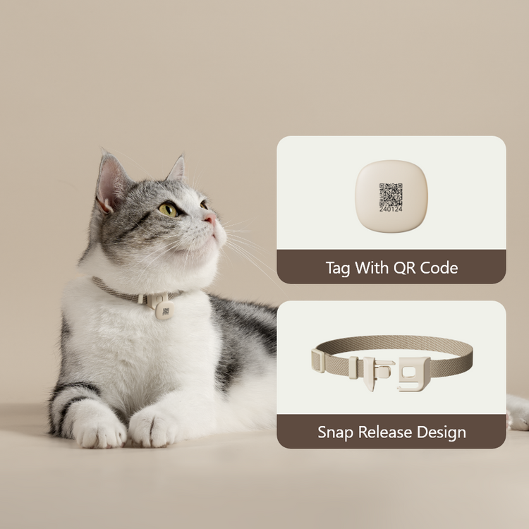 Petlibro One RFID Smart Feeder Petlibro One RFID Smart Feeder