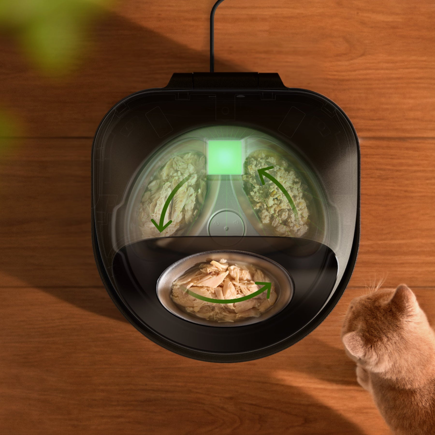 Granary 2 Vision & Polar Wet Food Feeder Bundle | Petlibro