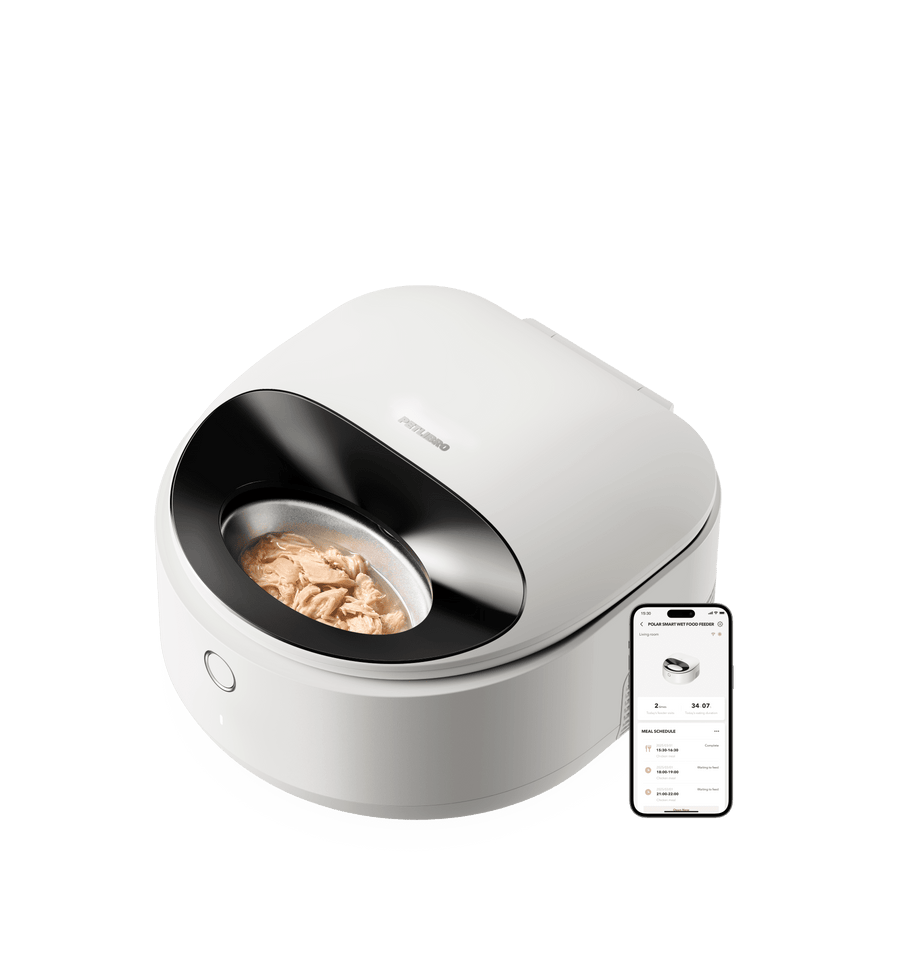 Petlibro smart automatic wet pet feeder in white with stainless steel bowl and mobile app control displayed on smartphone