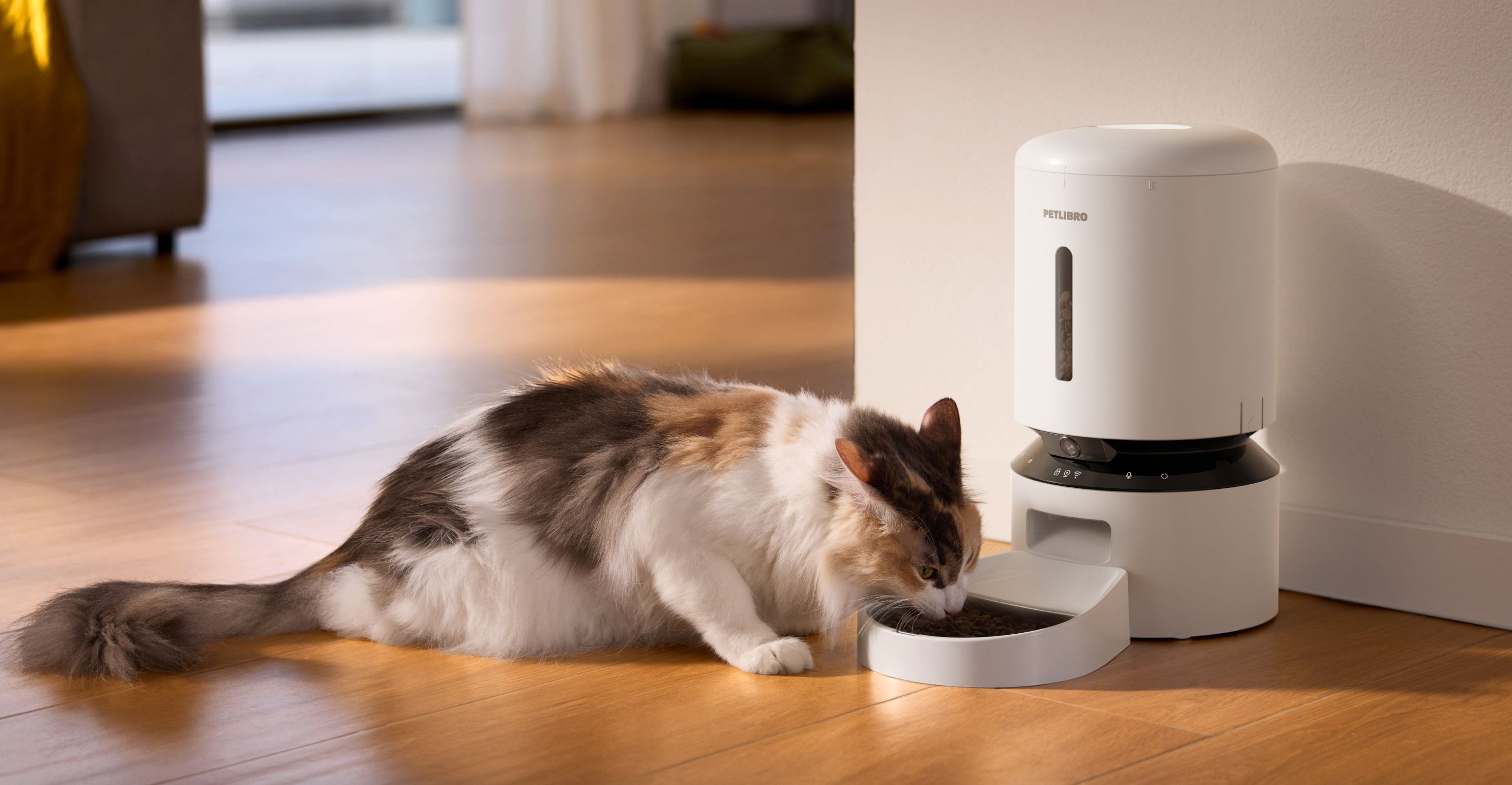 Petlibro automatic white pet feeder dispensing dry food to a long-haired calico cat on wooden floor