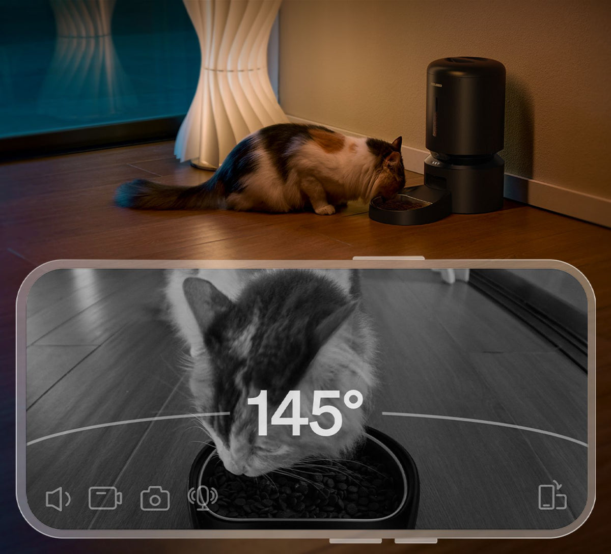 Petlibro automatic pet feeder in black with a calico cat eating, shown with a smartphone app monitoring a 145-degree feeding angle view