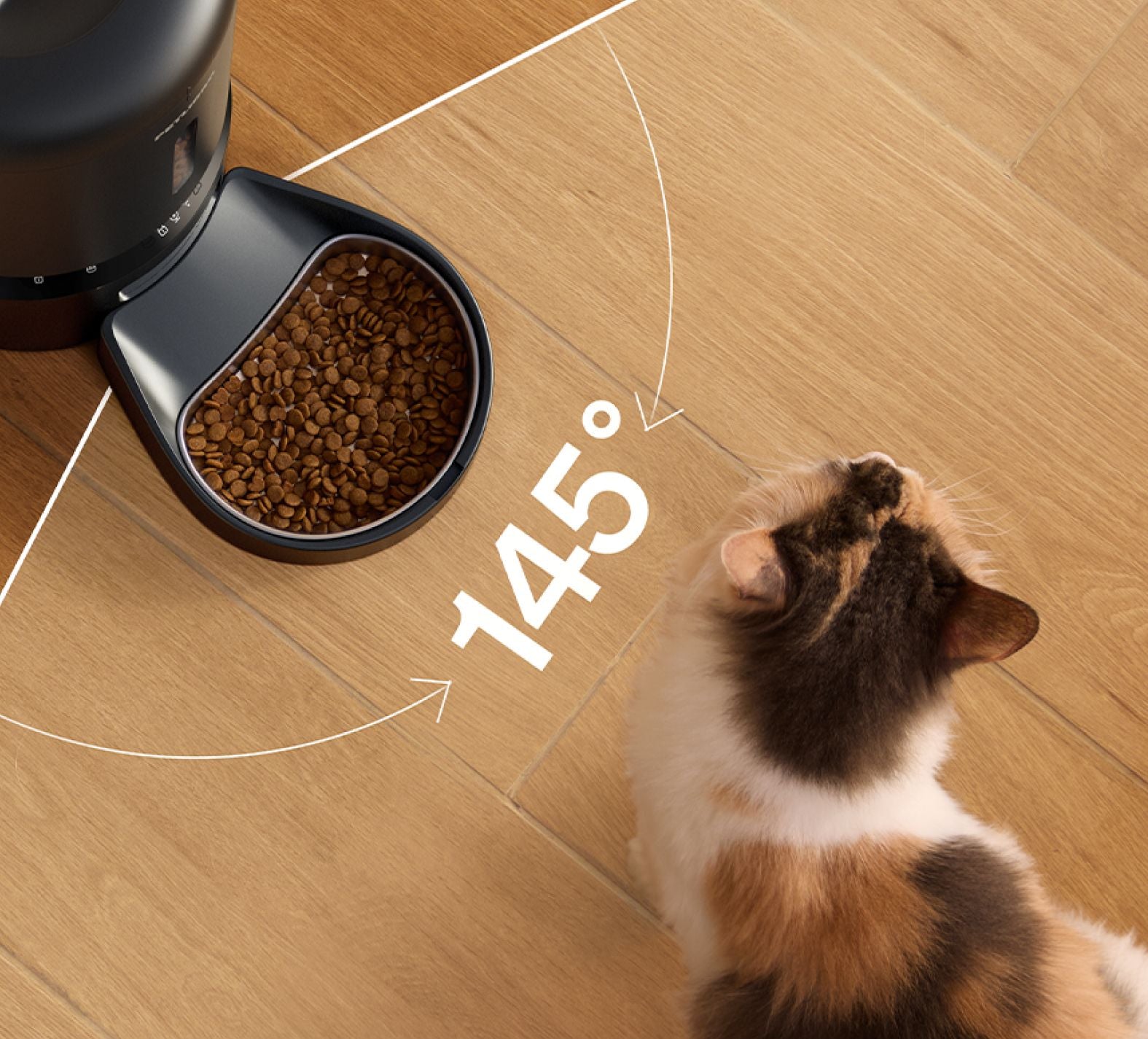 Petlibro automatic pet feeder with black food bowl dispensing kibble at a 145-degree angle, shown with a calico cat on wooden floor